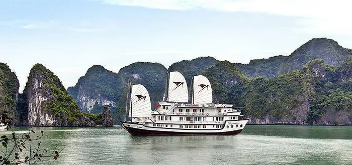 Signature Cruise