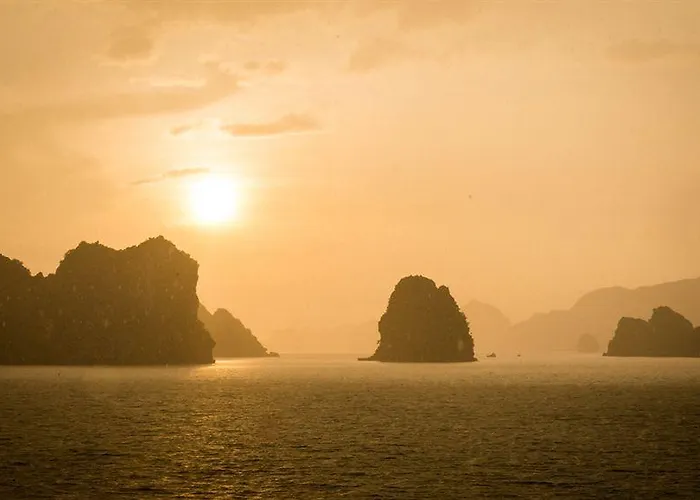 Signature Cruise  Hạ Long